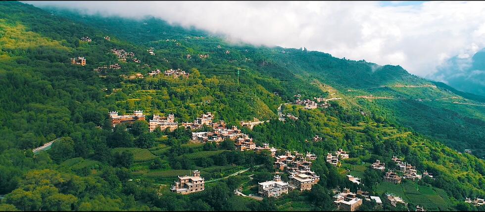 四川省尊龍集團(tuán)廉潔公益宣傳片